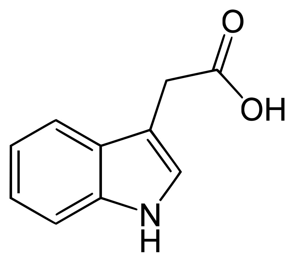 High-Purity Indole-3-Acetic Acid (IAA) | Plant Growth Regulator Supplier from China