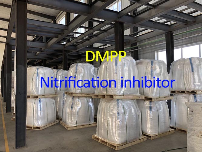 DMPP: An Efficient Nitrification Inhibitor for Sustainable Agriculture