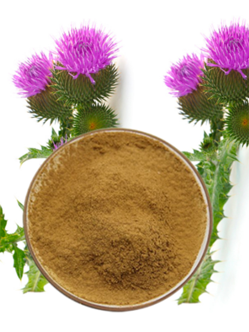 High-Quality Silymarin Manufacturer | Natural Milk Thistle Extract for Liver Health