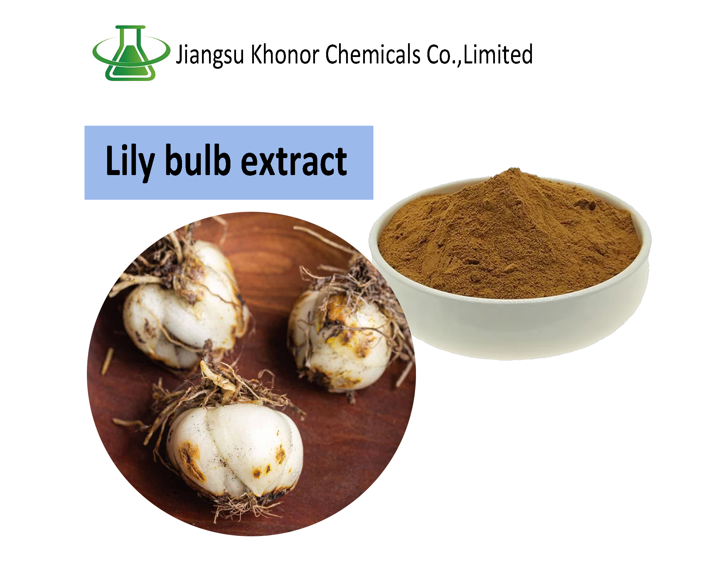 Premium Lily Bulb Extract Supplier | Natural Herbal Ingredient from China – Jiangsu Khonor Chemicals Co., Limited