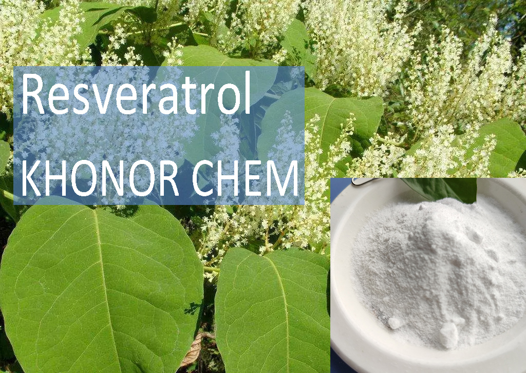 High-Purity Resveratrol Supplier | Natural Antioxidant Ingredient from China