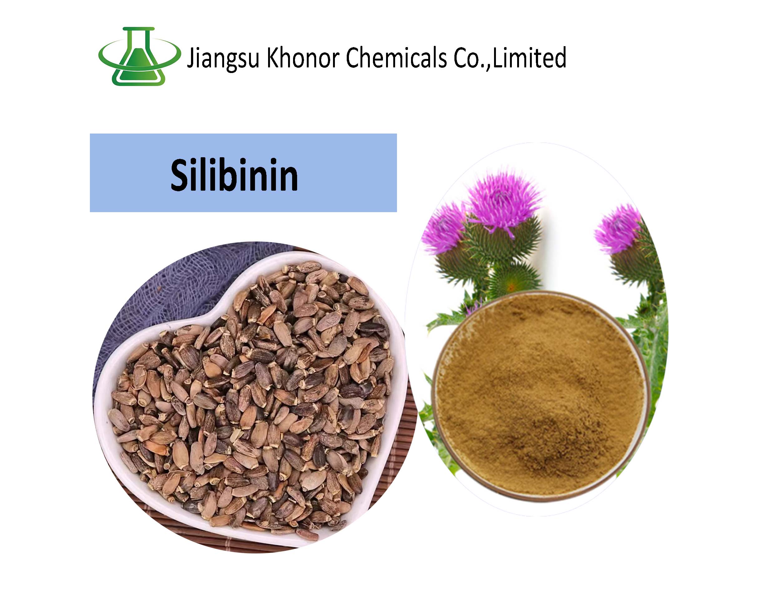 Silymarin vs. Silibinin: Key Benefits and Applications in Modern Dietary Supplements