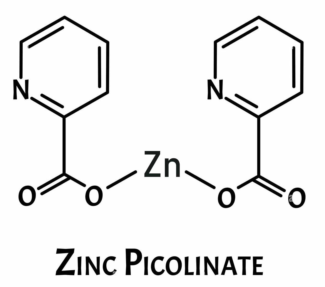 Zinc Picolinate | Highly Bioavailable Zinc Source for Human Nutrition and Dietary Supplements