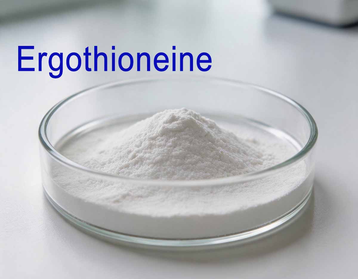 High Purity Ergothioneine Powder Manufacturer & Supplier | Natural Antioxidant Ingredient