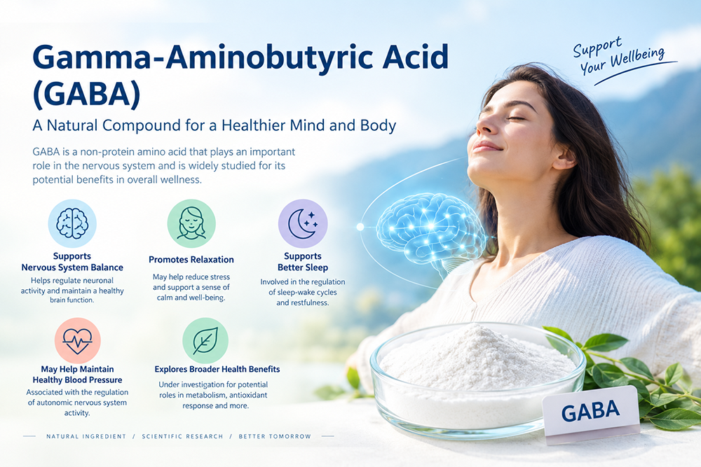 Gamma-Aminobutyric Acid (GABA) Supplier | Food & Nutritional Ingredient