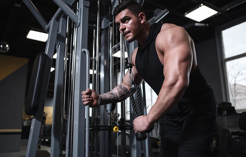 55924eeb109c81bf8b555a2945b133ec_bodybuilding-divisions